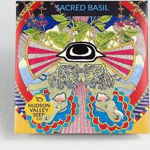 HV Sacred Basil